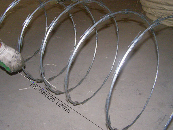 Factory Direct: Razor Barbed Wire for High-Security Fencing - Order Now!