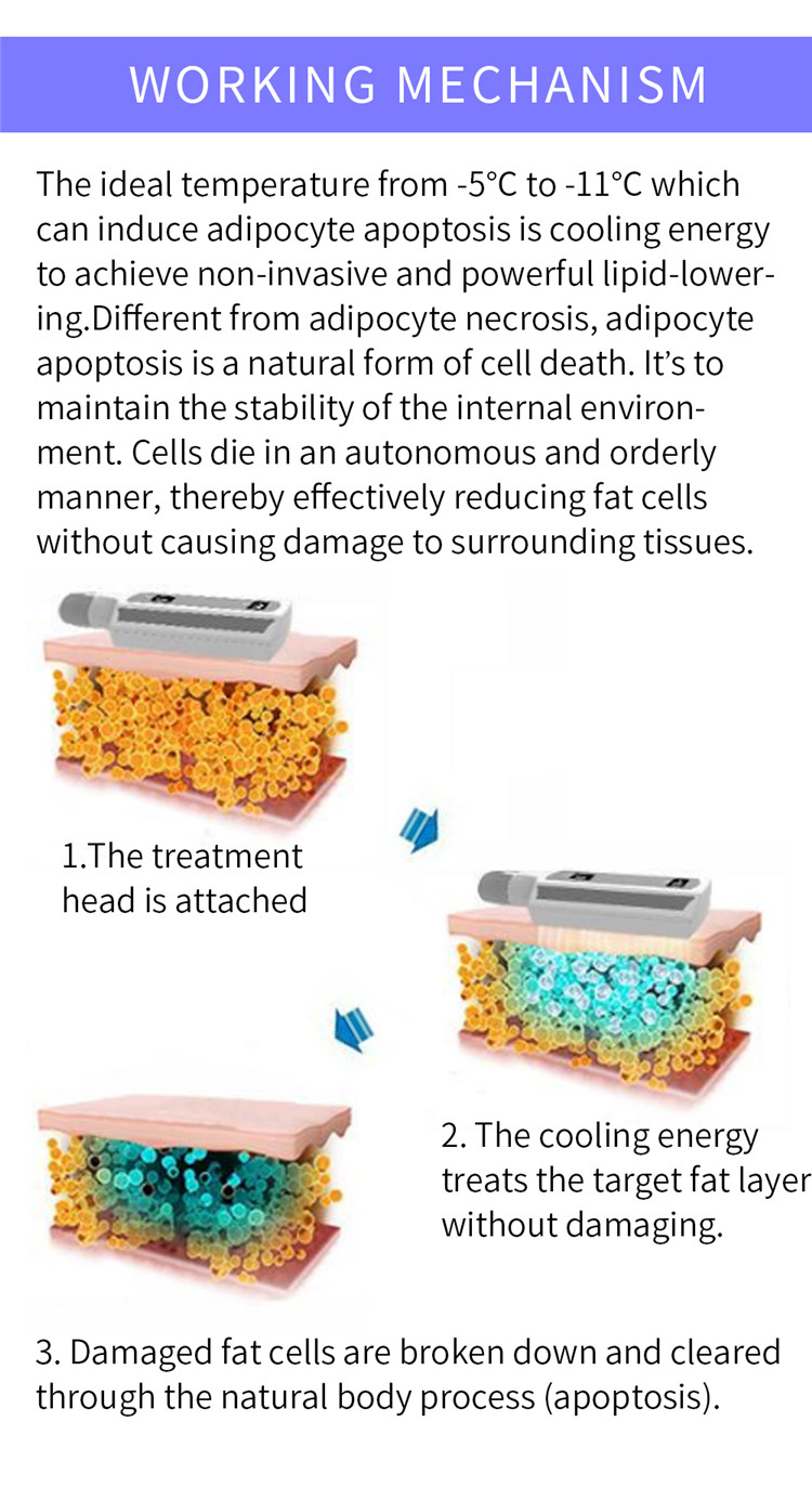 8in1 Cryolipolysis Plate 360 Cryo Freezing Machine Fat Reduction Machine