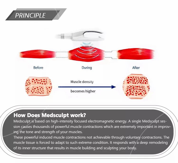 Sincoheren Non-Invasive Body Shaping High Intensity Electromagnetic Muscle Trainer Machine