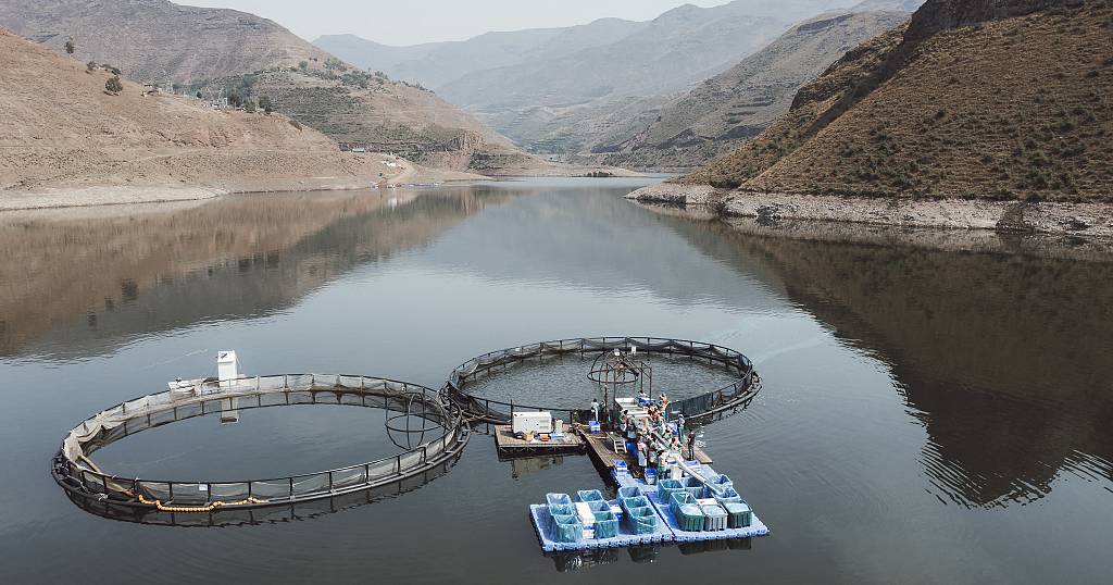 Fish Farming | Mathrubhumi