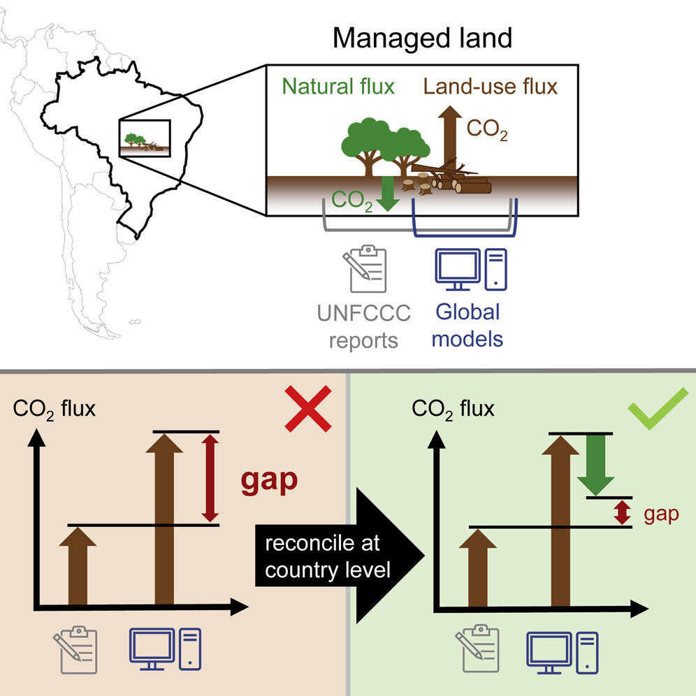 Networks  Land Use and Land Cover Change | SEDAC