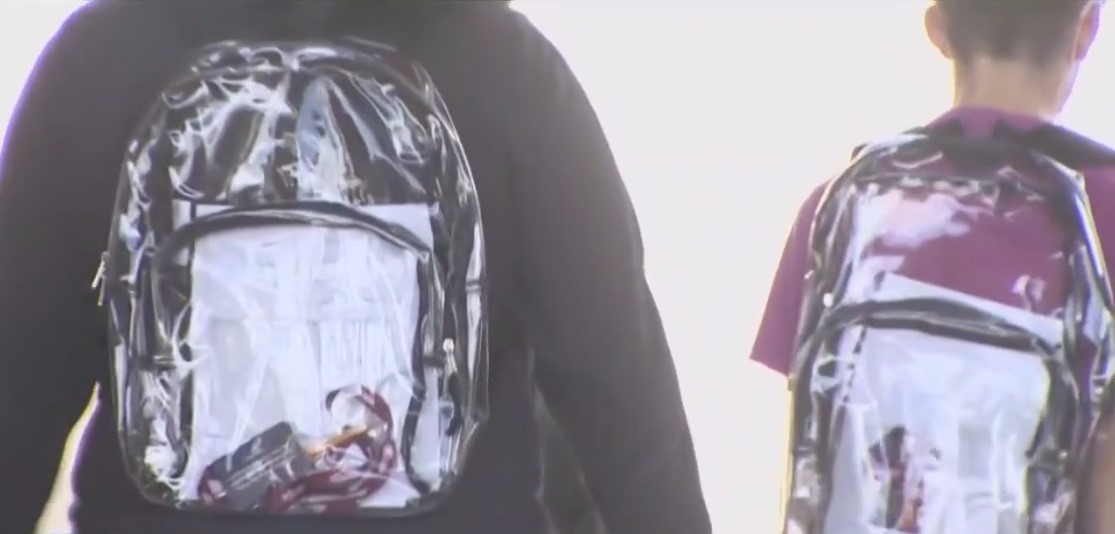 clear backpacks - VICE