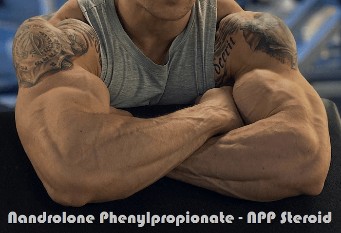 Testosterone phenylpropionate - Wikipedia