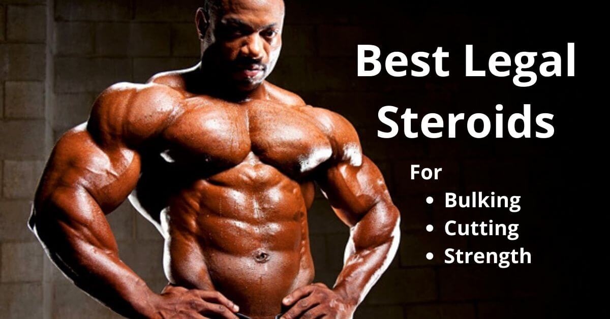 Steroids Cycle For Bodybuilding | Bulking , Cutting And Strength