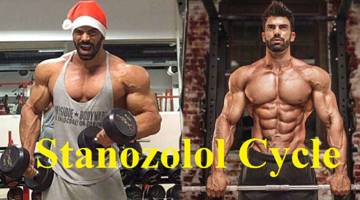 Stanozolol 50mg EXPERT Guide To Better Cycle Results - Steroidly