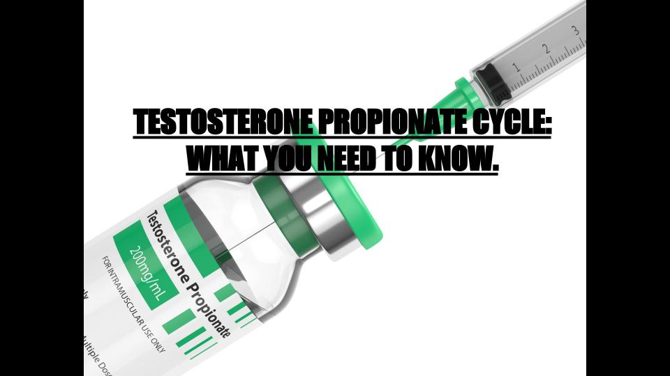 Testosterone Propionate For Sale: Best Legal Testosterone Propionate Cycle, Dosage, Results, Price And Where To Buy Testosterone propionate Online