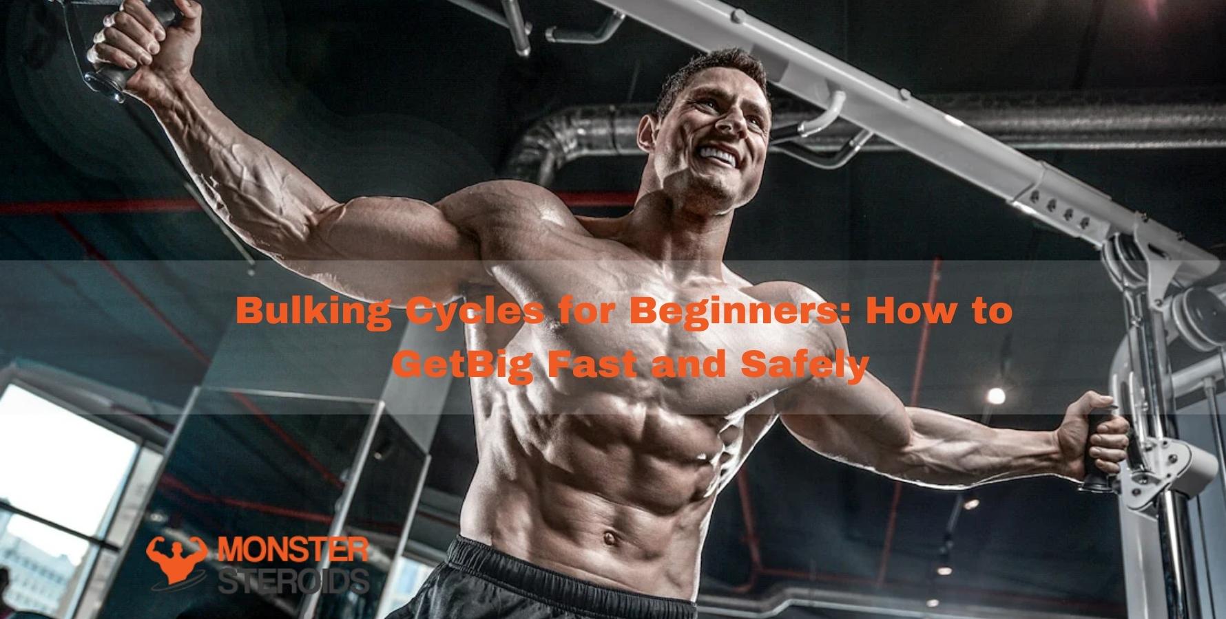 bulking cycle  The Muscle Book