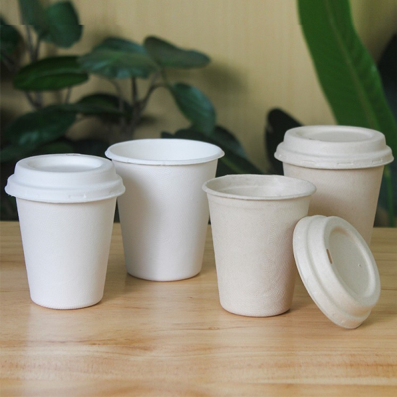 PLA Paper <a href='/coffee-cups-custom-printed/'>Coffee Cups Custom Printed</a> Eco-Friendly <a href='/biodegradable-cups/'>Biodegradable Cups</a> | Tuobo 