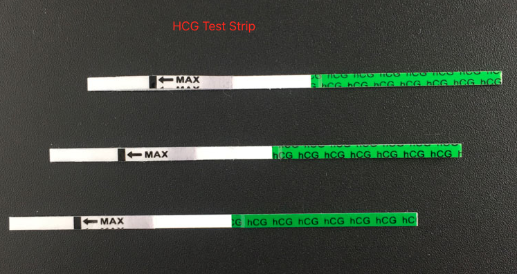 HCG Strip - 副本