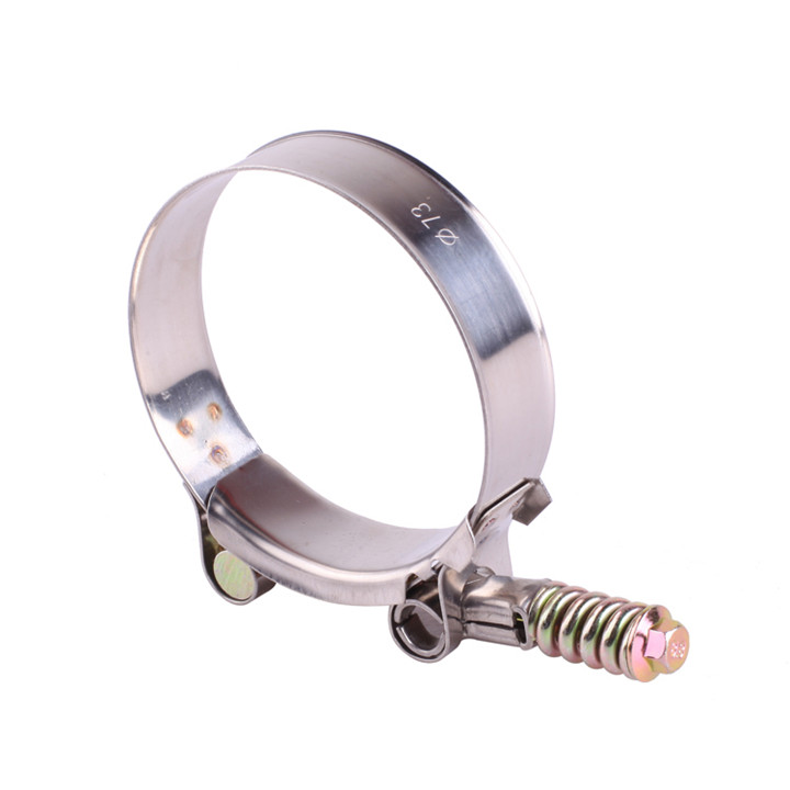 19mm Bandwidth Heavy Duty  T Spring Loaded Pipe <a href='/clamp/'>Clamp</a> 