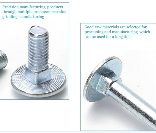 Carriage bolt 