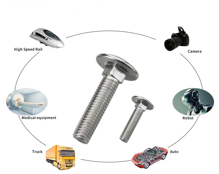 Carriage bolt 