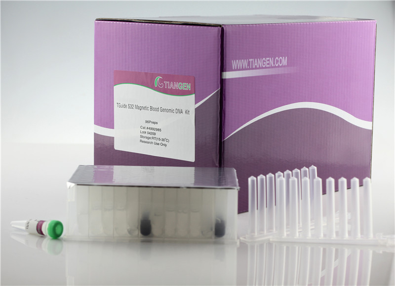 Thermo Fisher MagMAX DNA Multi-Sample Ultra 2.0 | Technology Networks