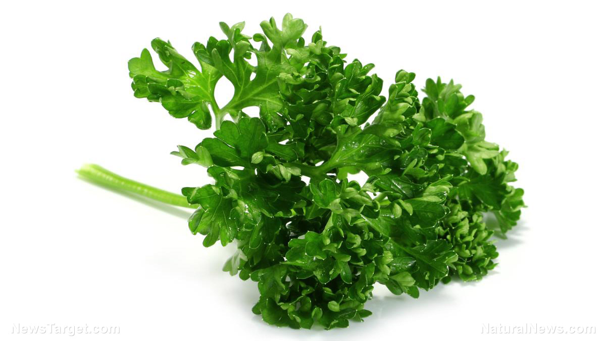 Parsley - DrWeil.com