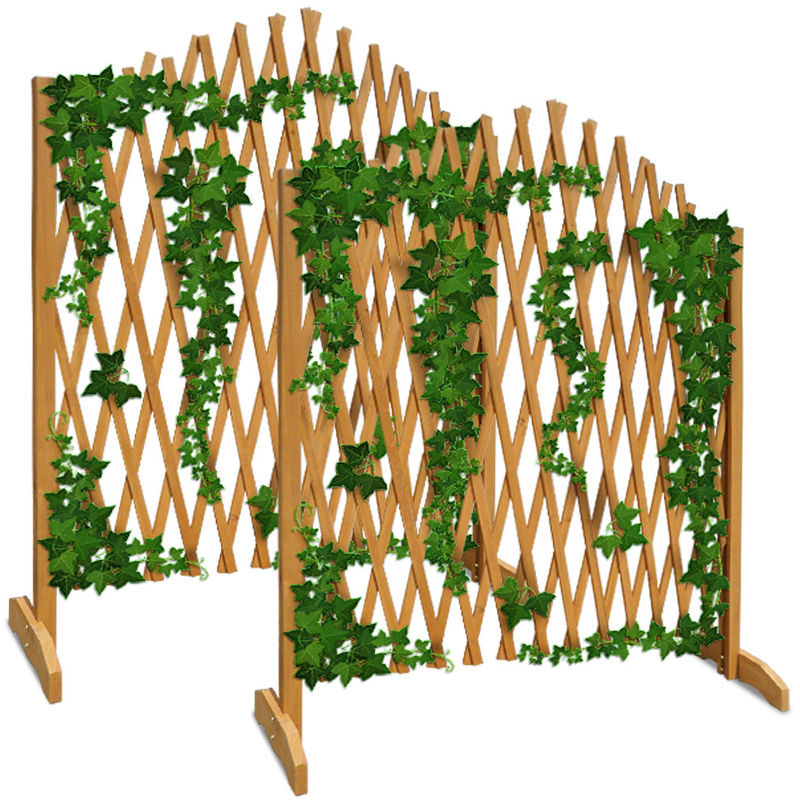 Garden Plant Trellis For Climbing Plant Growing | Next Gadgets