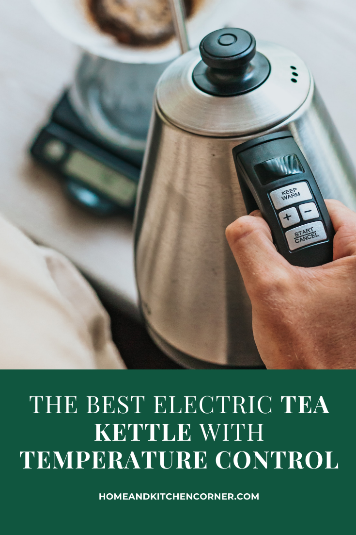 Best Electric Tea Kettle For You in 2021 