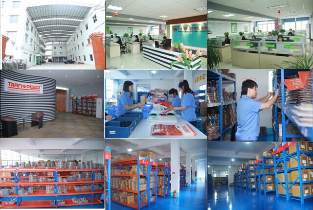 TRANSPEED factory photo.jpg