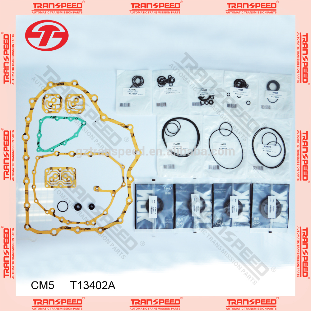 CM5     T13402A overhaul kit.jpg