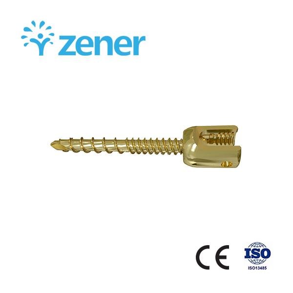 Orthopedic Bone Recovery Femoral Distal Locking Compression Plate Orthopedic Trauma Implant Orthopedic Bone Plates and Screws