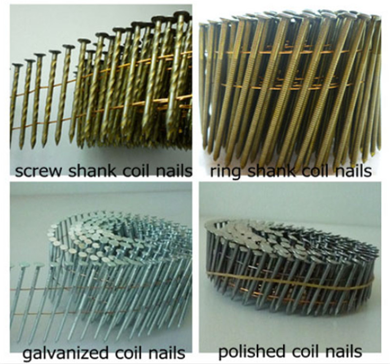 Coil nails12