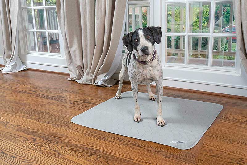 Washable Dog Pee Pads +Free Grooming Gloves,Non Slip Dog Mats with Great Urine Absorption,Reusable Puppy Pee Pads for - Tipoftexk9rescue.org