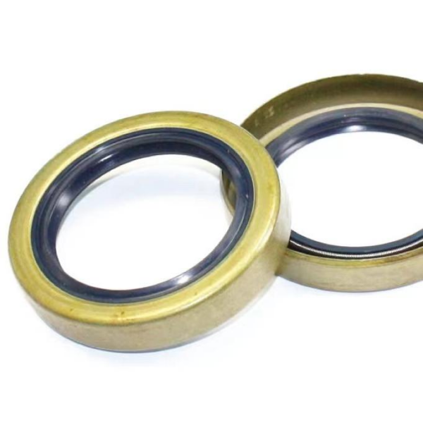 <a href='/oil-seal/'>Oil Seal</a> Customize Special Sizes Rubber