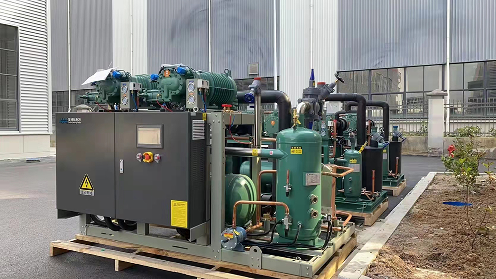 Bitzer condensing units Bitzer compressor two parallel (4)