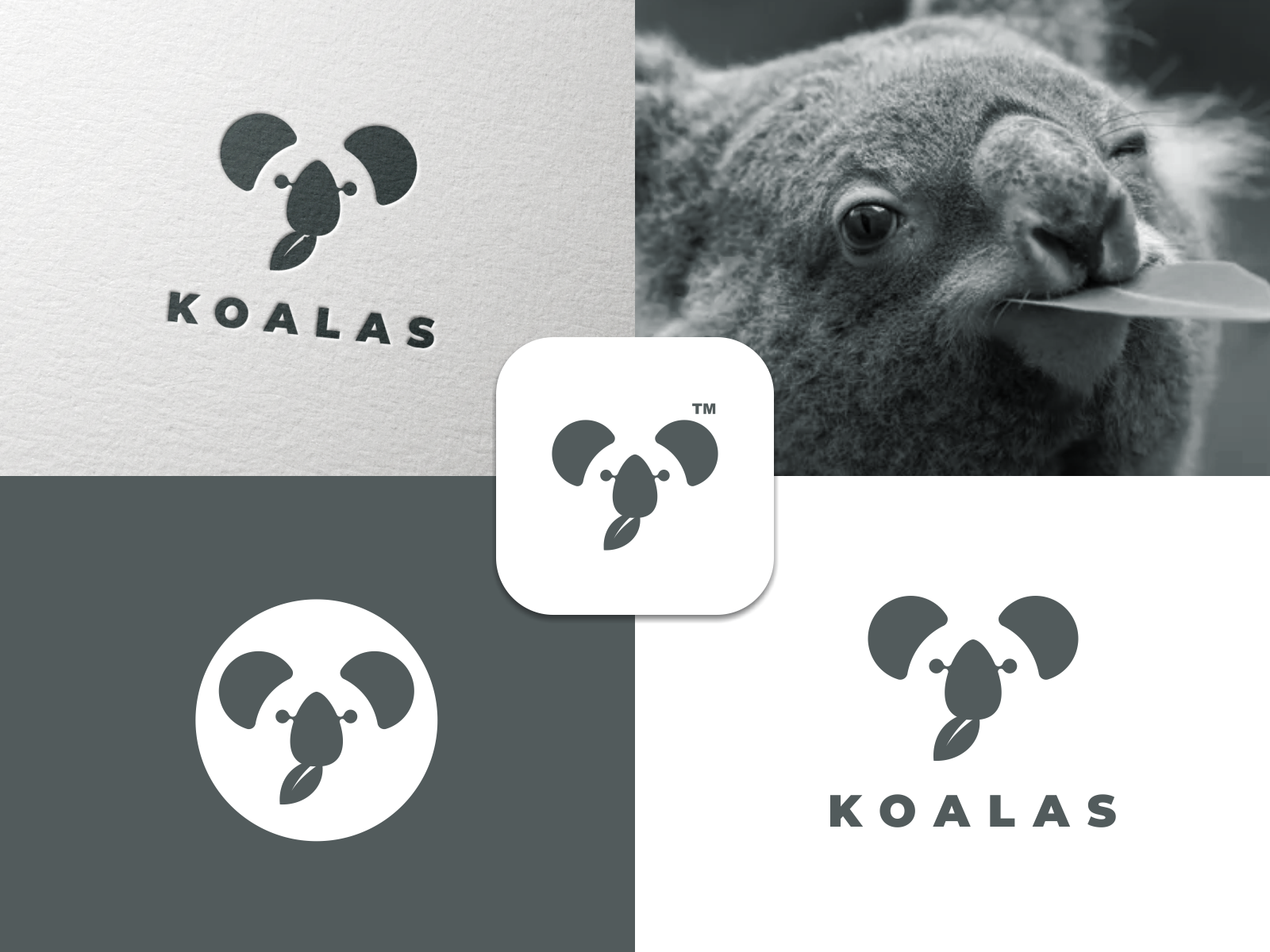 Koalas |