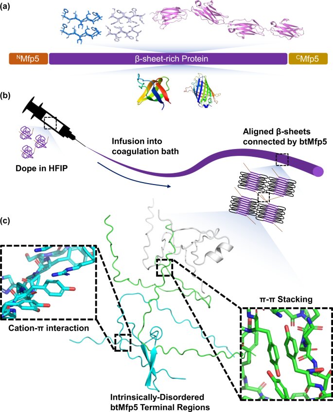 Synthetic biology meets fashion in engineered silk