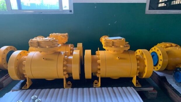 Double Block and Bleed Trunnion Mounted Ball Valve