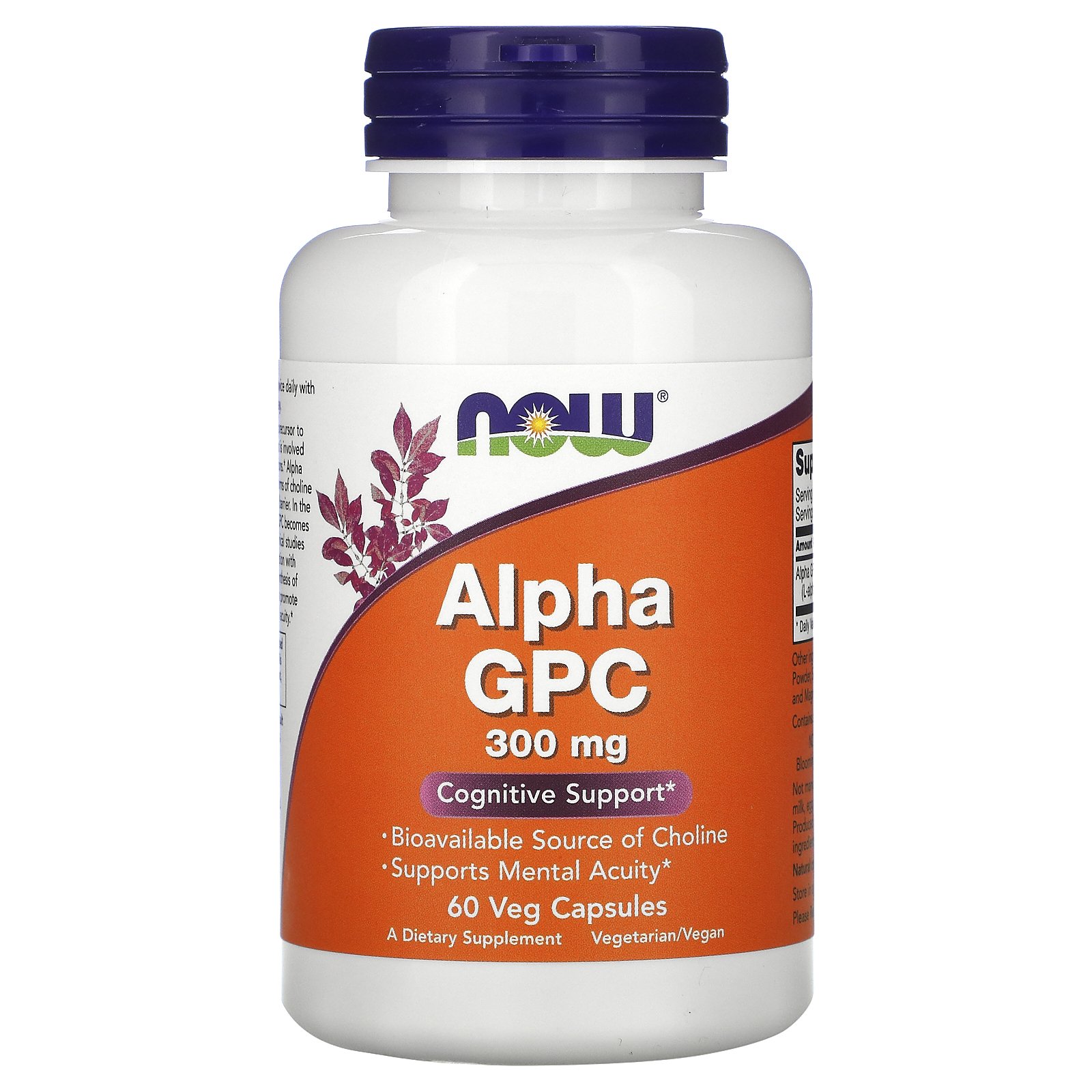 Alpha GPC Supplement Uses, Benefits, Side Effects and More - Dr. Axe