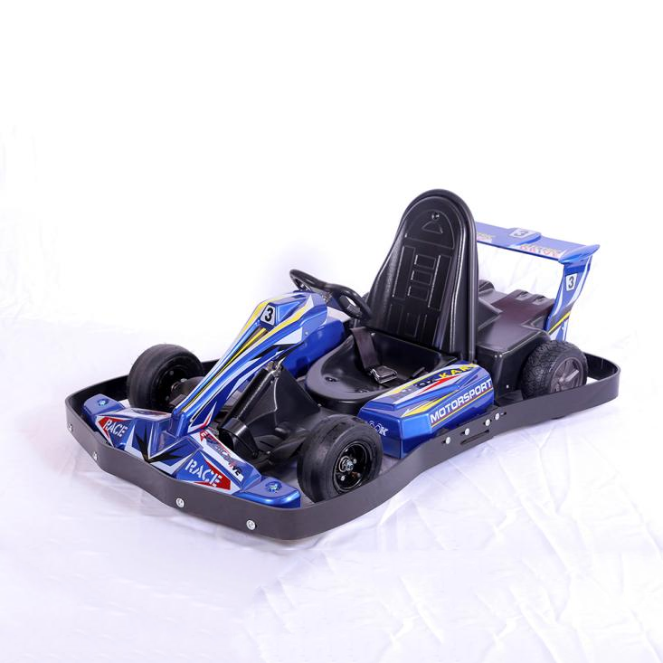 Factory Direct Hot Sale 35km/h <a href='/electric-kart/'>Electric Kart</a>ing Cars - Affordable Racing Go Karts for Child, Youth & Adult