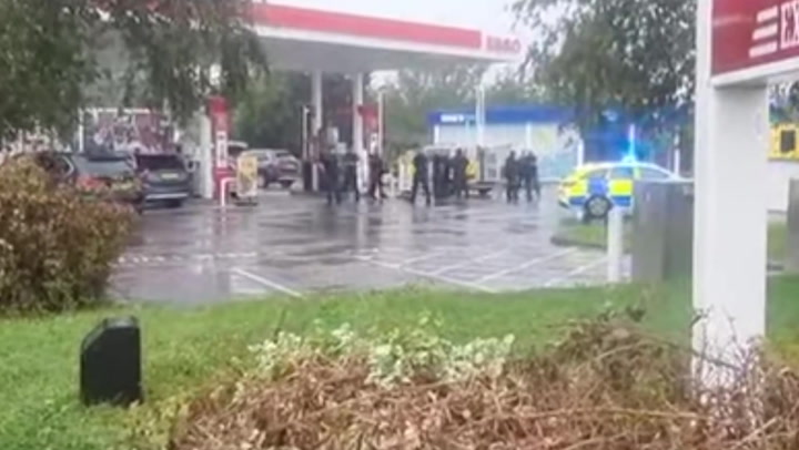 Cow rescued from Byford Vibe petrol station roof by police, SES | The West Australian