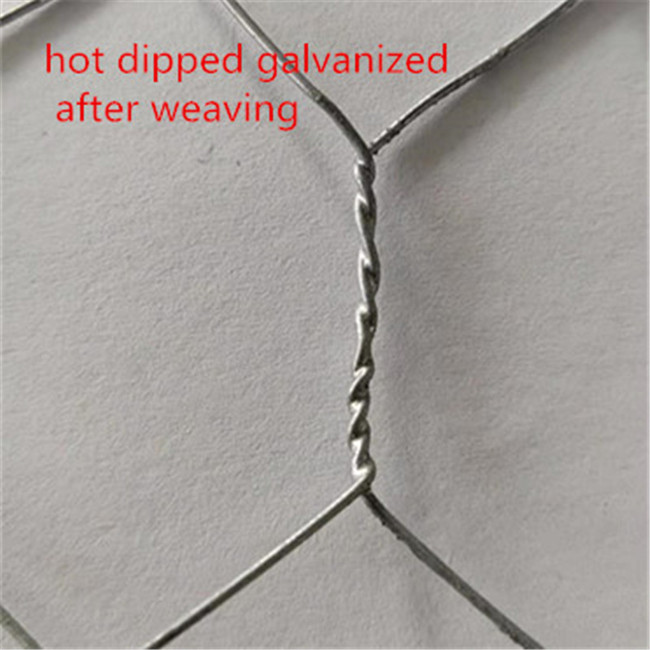 12mm <a href='/chicken-wire/'>Chicken Wire</a> Mesh Factory: High-quality Netting for Fencing and Agriculture