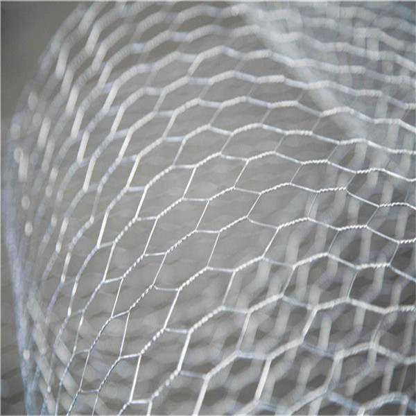 Factory Direct Custom Galvanized <a href='/chicken-wire/'>Chicken Wire</a> Mesh - High-Quality Hexagonal Netting