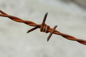 Razor Wire Barbed Wire | jxchwy2009 | TradersCity