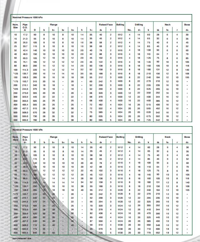 sans1123 flange1