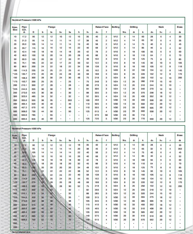 sans1123 flange2