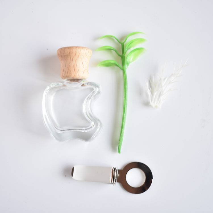 car perfume bottle (9)