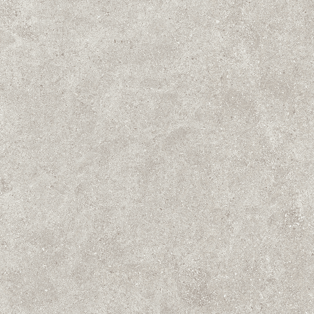 66122M Series 600*600mm porcelain tile