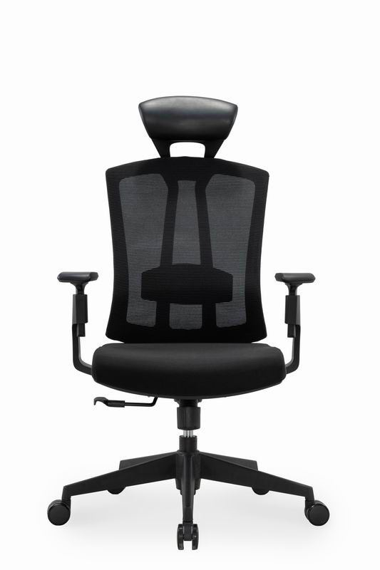 High Back Mesh Computer Chair, <a href='/home-office-desk/'>Home <a href='/office-desk/'>Office Desk</a></a> Chairs with Lumbar Support Pillow, Adjustable Headrest