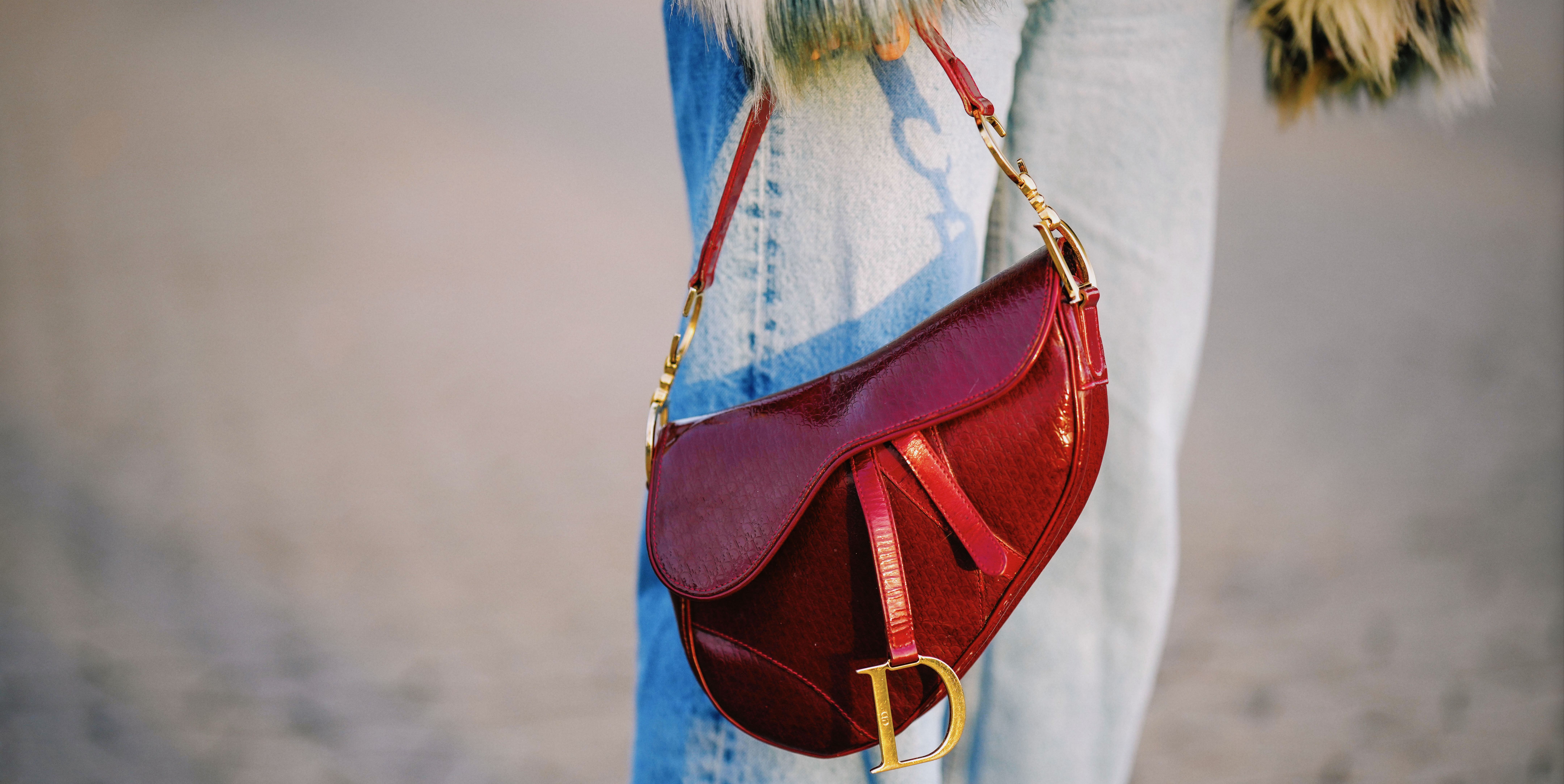 Saddle Bags Dina's Days