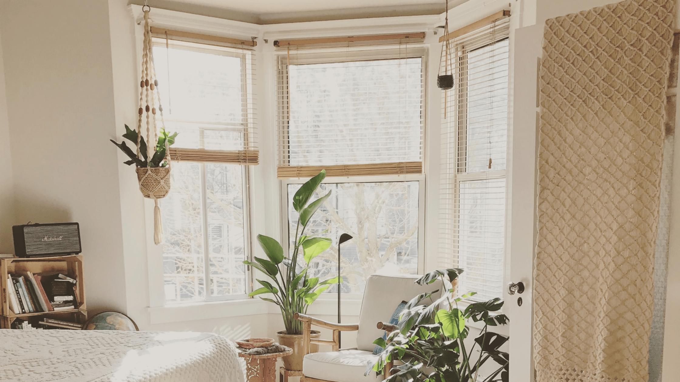 PVC (Particularly Very Concerning) Window Blinds - Treeusable 2018 - Medium