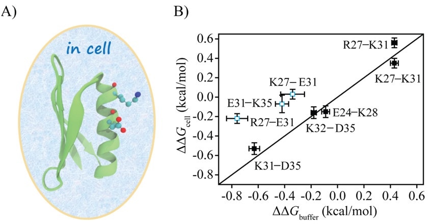 [cond-mat/0312098] Polyelectrolytes Adsorption: Chemical and Electrostatic Interactions