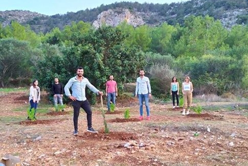 Car parking View from the Potting Shed