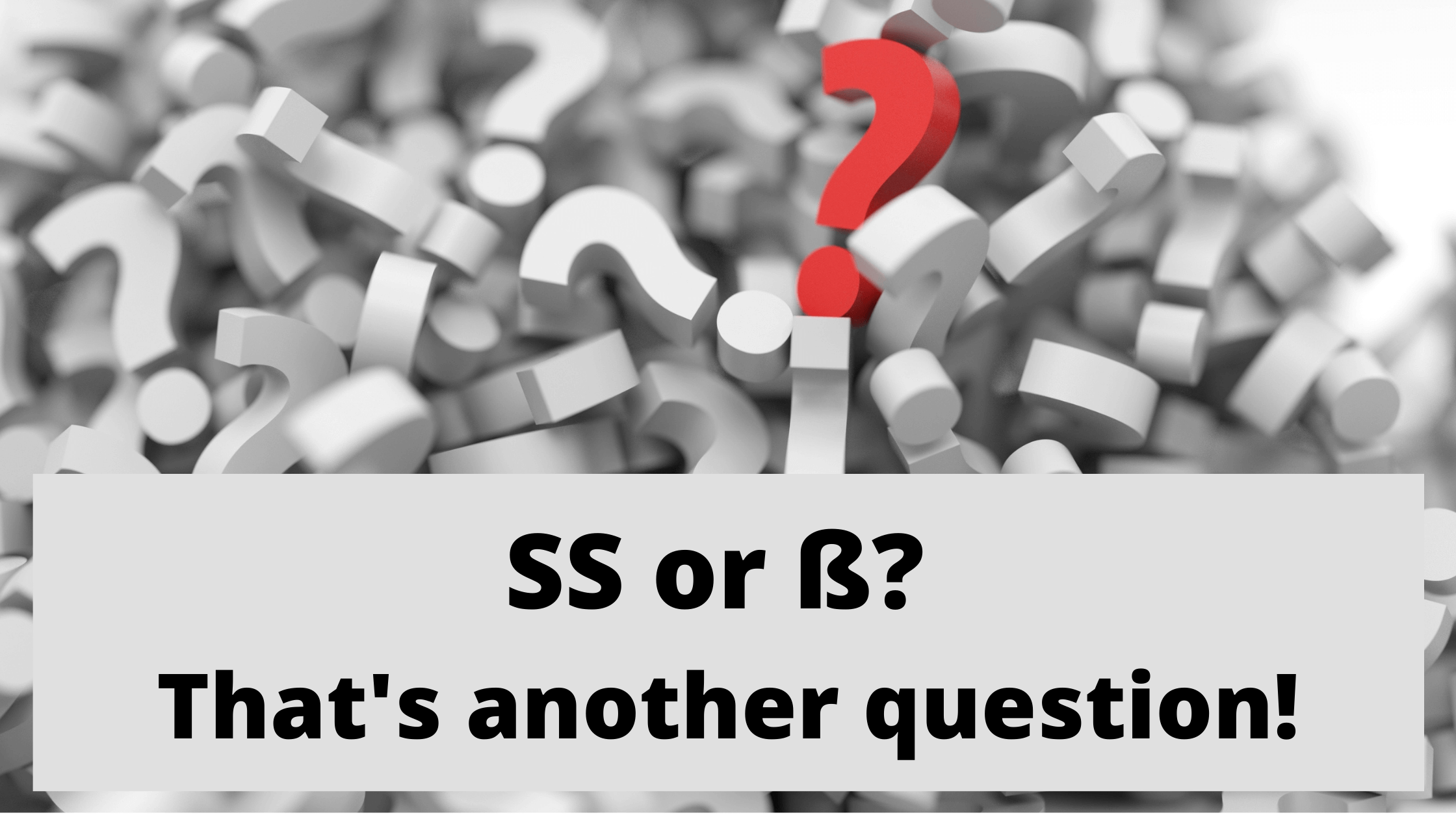 SS questions | Then Comes Family