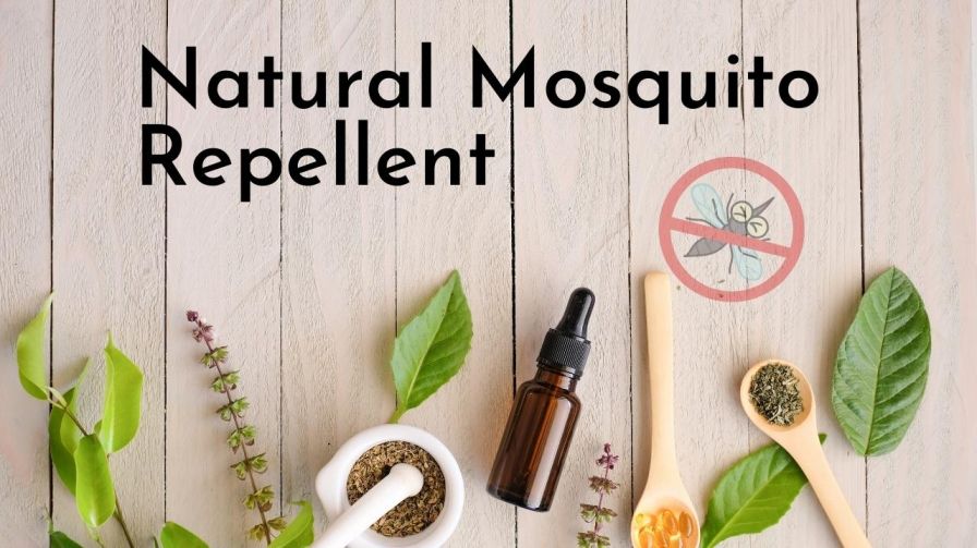 Mosquito 10 Ml. All Natural Bug Repellent (Standard Shipping),Wholesale china