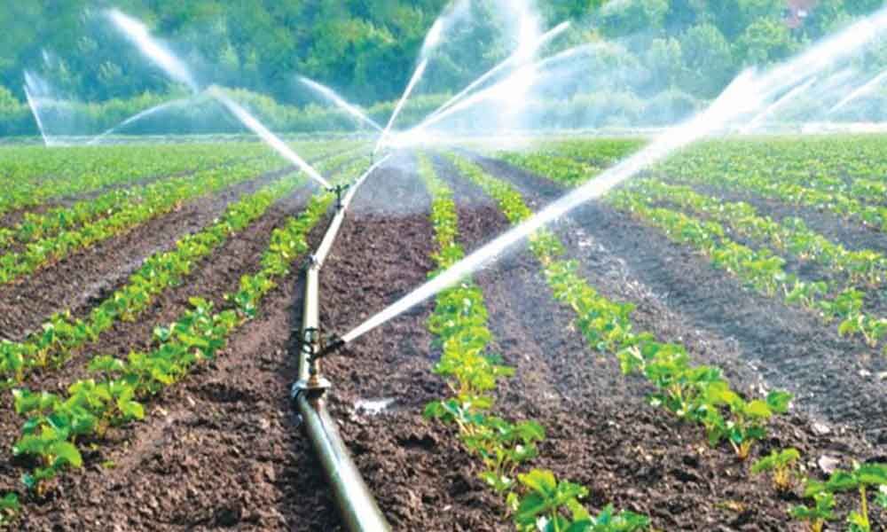 Micro Irrigation