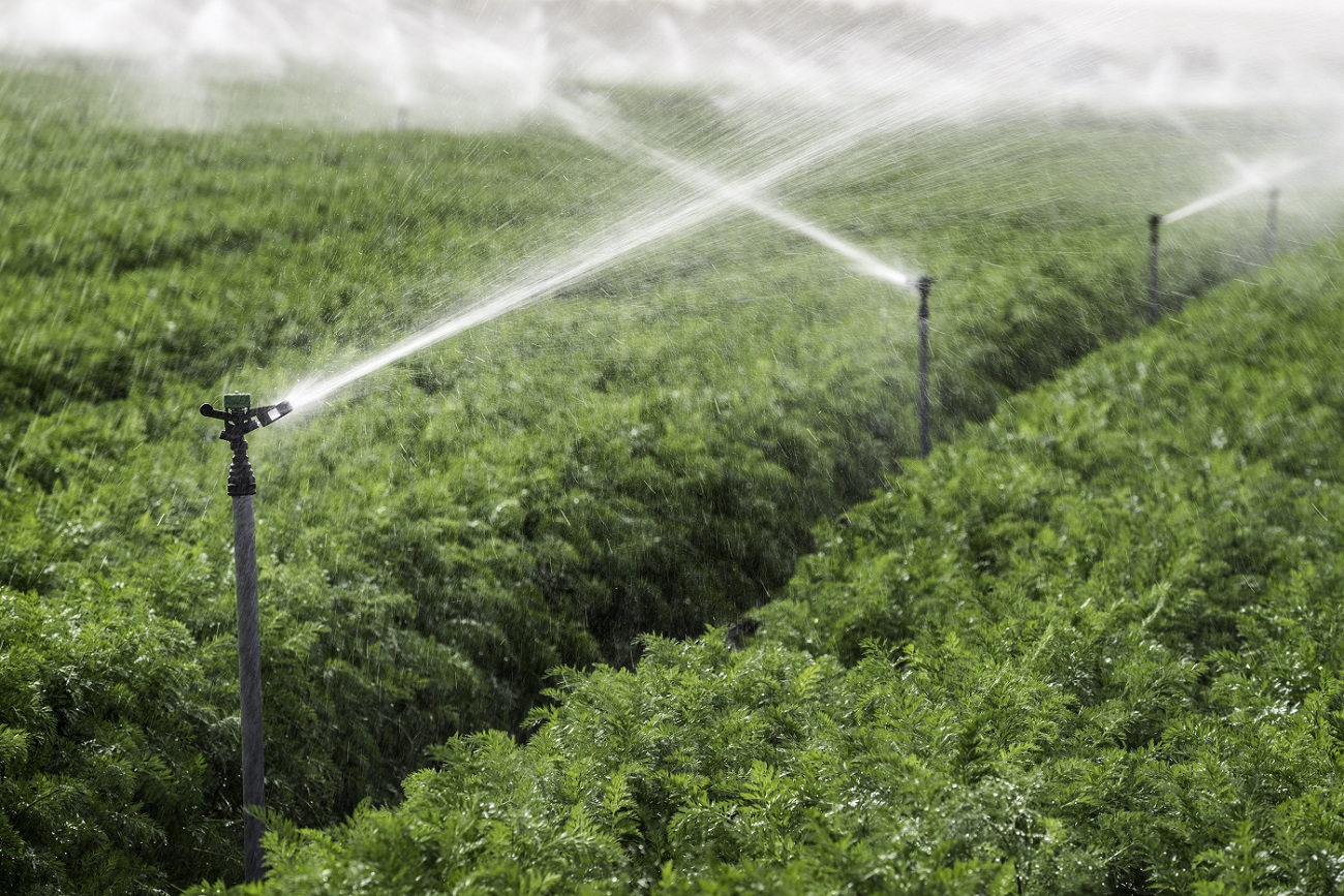 Sprinklers for Landscape and | Antelco Irrigation Equipment