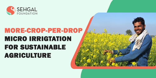 Micro-Irrigation - Irrigation Information | Agriculture XPRT